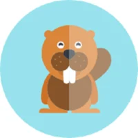 Budget Beaver